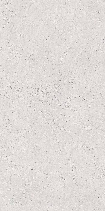 Columba Silver | 60x120 cm | Stone Punch