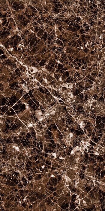 Dexy Emperador Brown | 600x1200mm | Super High Glossy