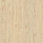 Eminent Wood Crema | 600x1200mm | Wooden Matt