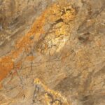 Era Gold | 600x1200mm | Super High Glossy