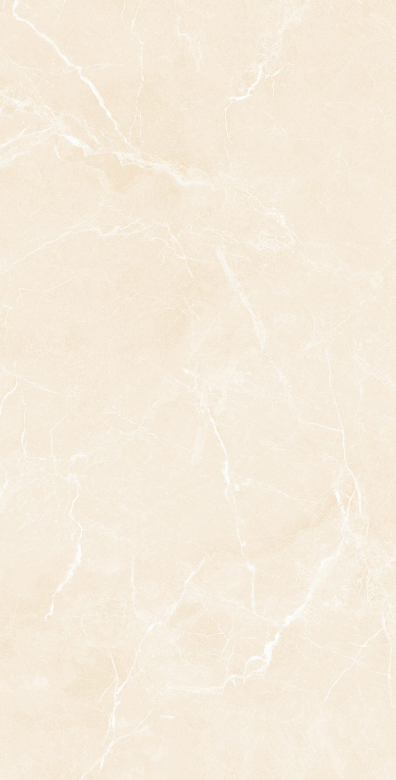MAC-IVORY Mac Ivory | 600×1200 mm | Glossy Tiles
