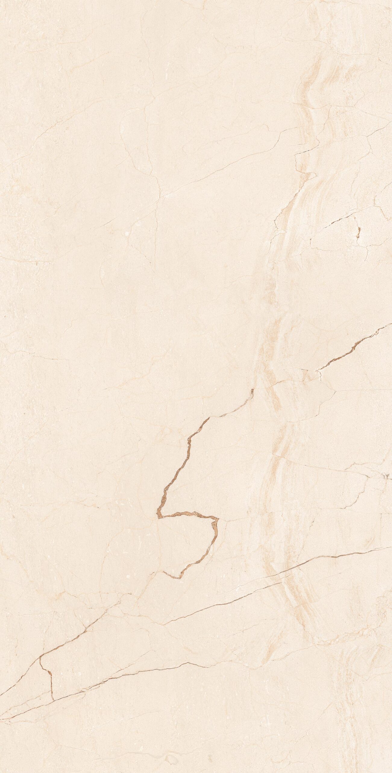 Magnificent-Marfil-Crema Magnificent Marfil Crema | 600×1200 mm | Glossy Tiles - Image 1