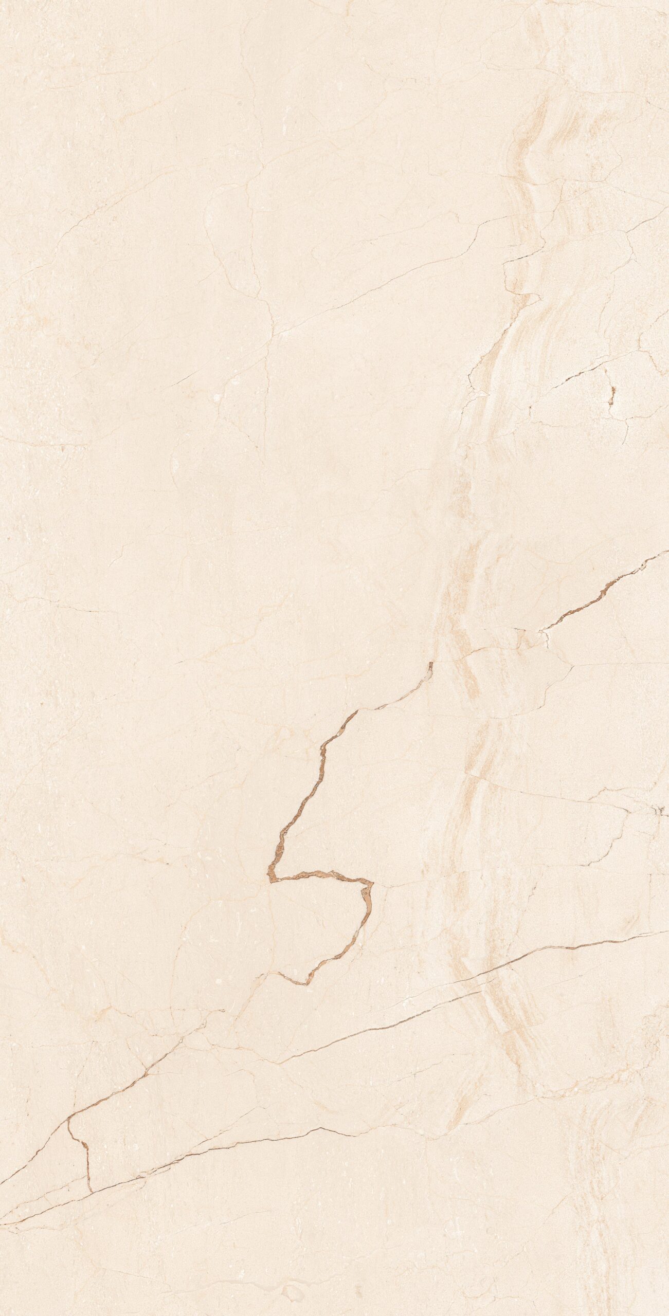 Magnificent-Marfil-Crema Magnificent Marfil Crema | 600×1200 mm | Glossy Tiles