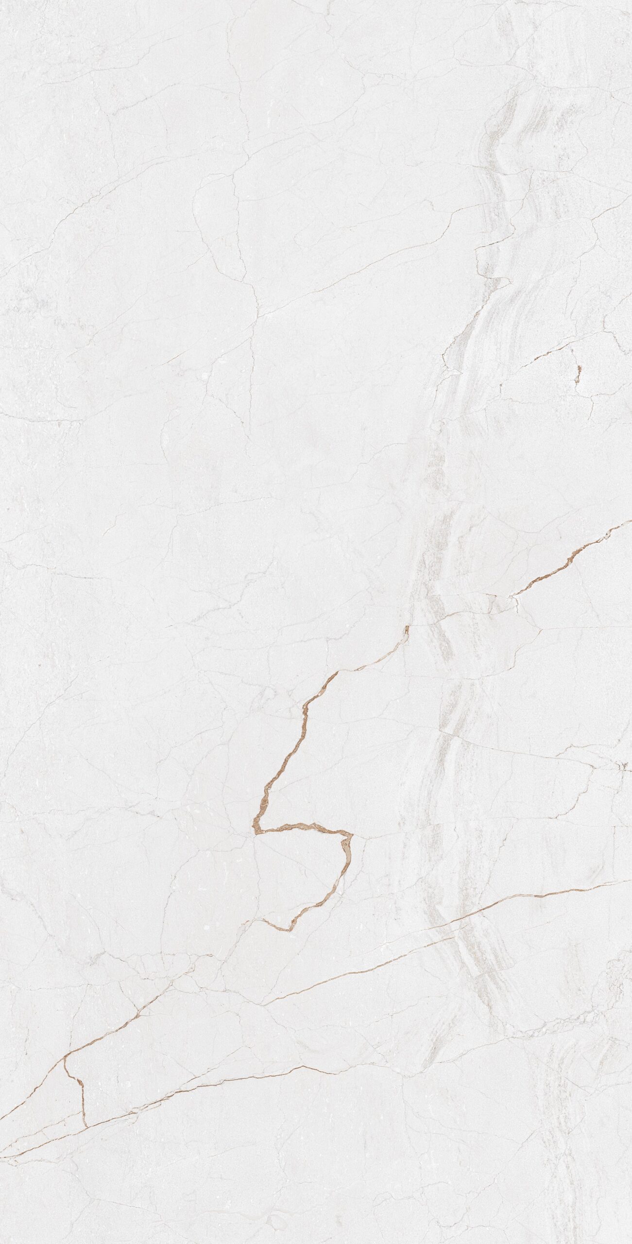 Magnificent-Marfil-Grey Magnificent Marfil Grey | 600×1200 mm | Glossy Tiles