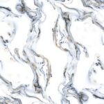 Rivera Blue | 600×1200 mm | Glossy Tiles