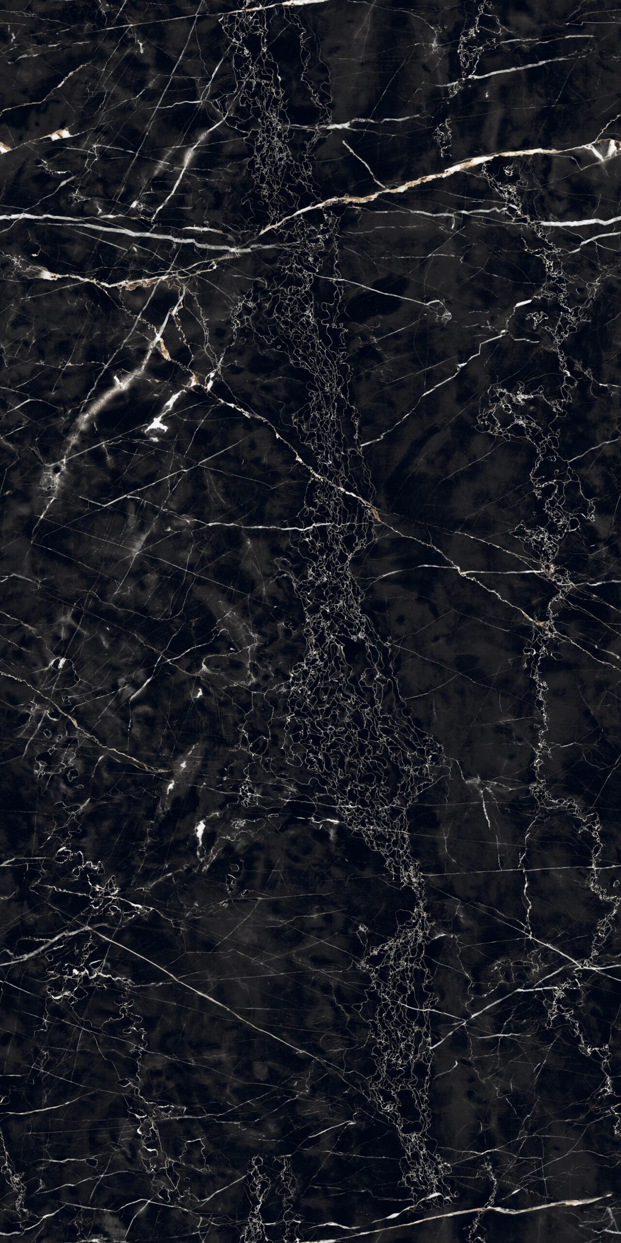 Ricoh-Black Ricoh Black | 600x1200mm | High Glossy Endless